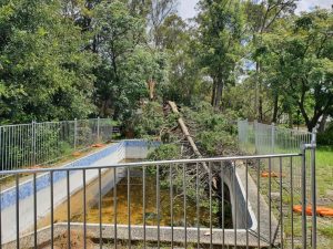 Storm damage fencing around empty pool with fallen tree in suburban backyard